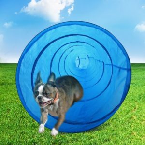 dog-agility-tunnel