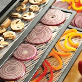 drying food & dehydrator