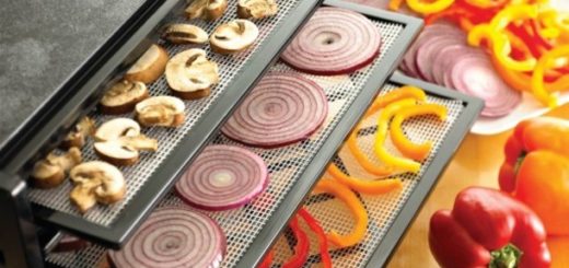 drying food & dehydrator